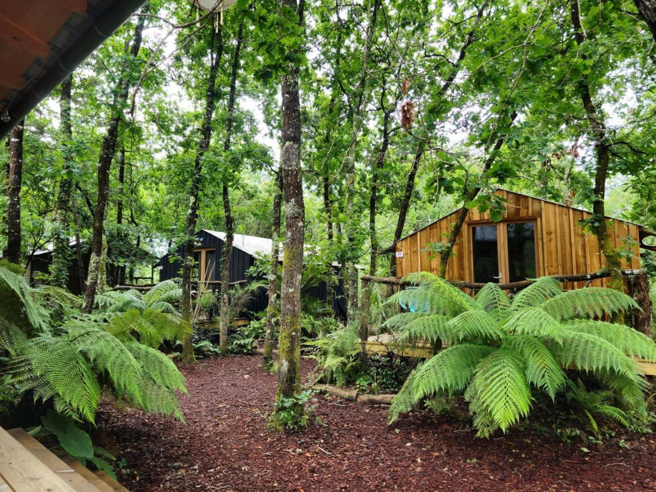 Camping Aux Couleurs Du Ferret Lège-Cap-Ferret Exterior foto