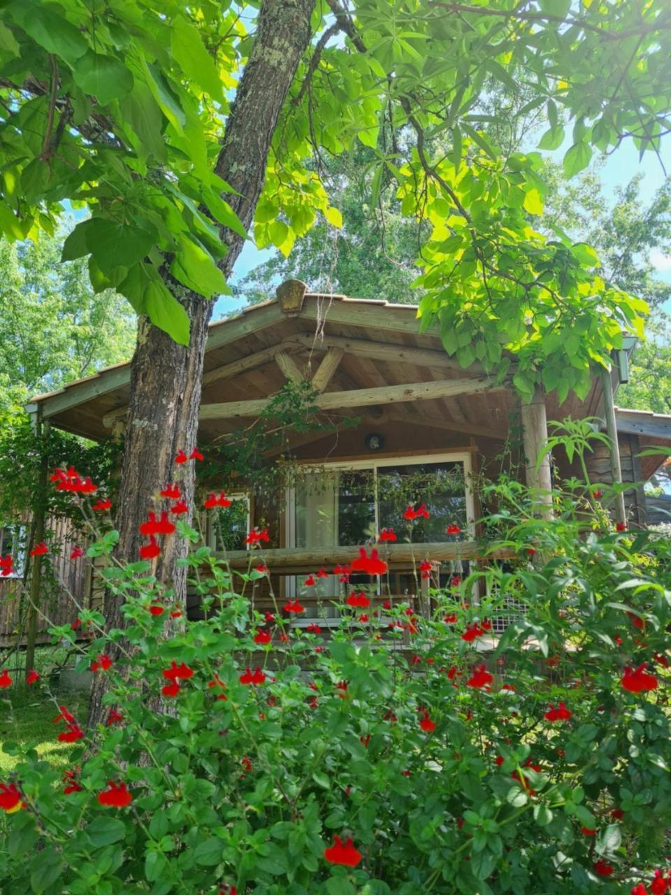 Camping Aux Couleurs Du Ferret Lège-Cap-Ferret Exterior foto