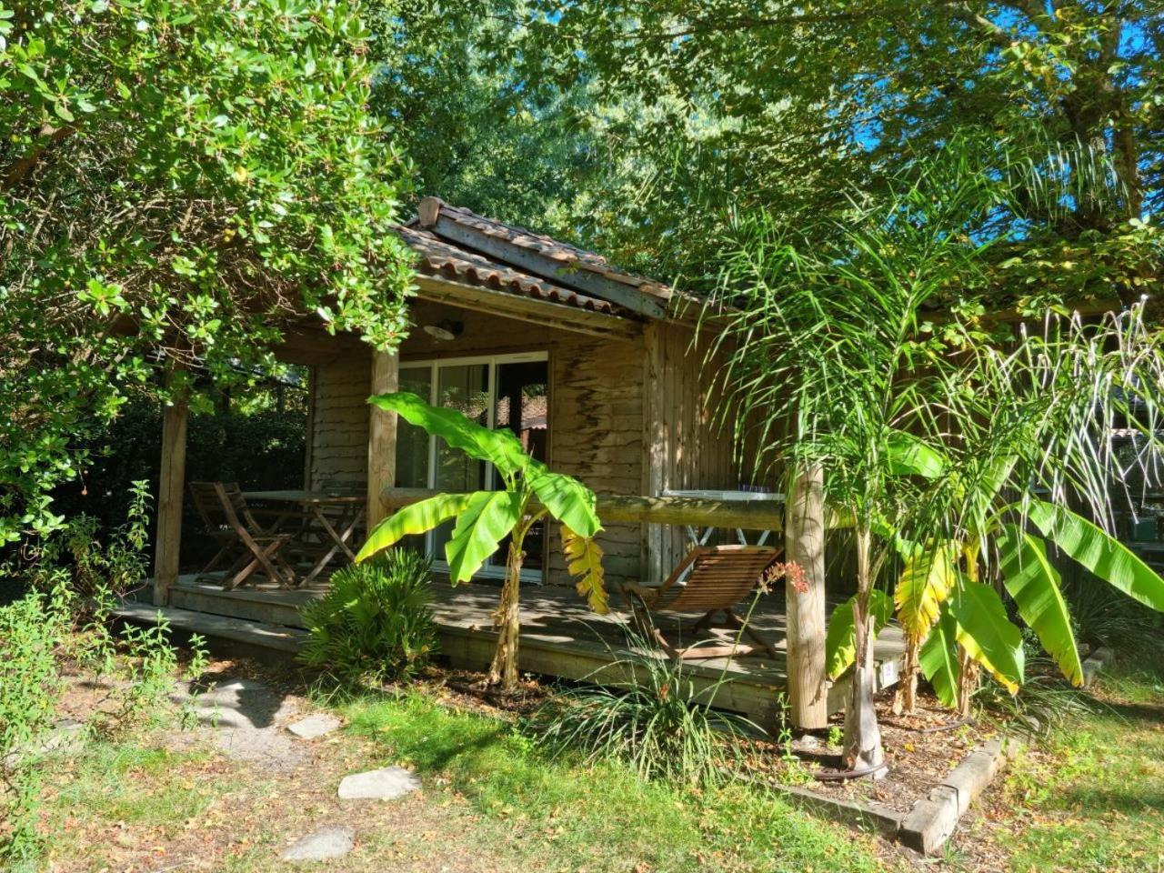 Camping Aux Couleurs Du Ferret Lège-Cap-Ferret Exterior foto
